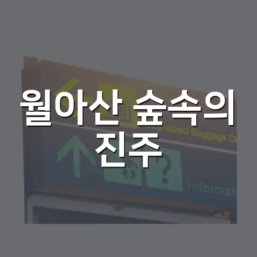월아산 숲속의 진주, 주말 힐링 체험 가득