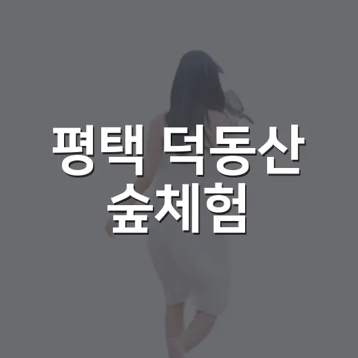 평택 덕동산 숲체험, 아이와 자연 속 모험