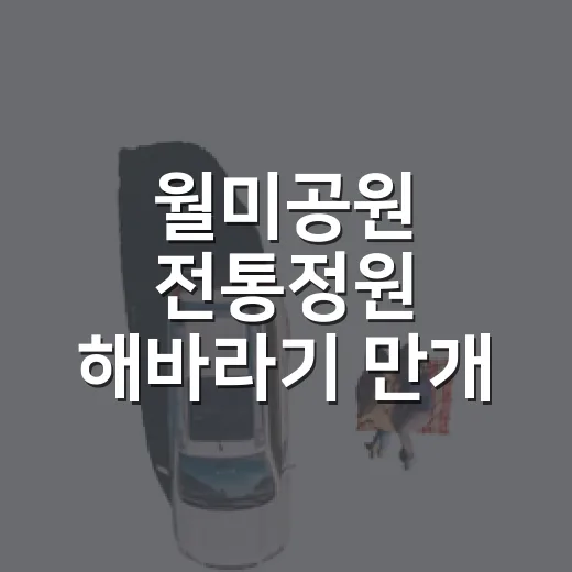 월미공원 전통정원 해바라기 만개