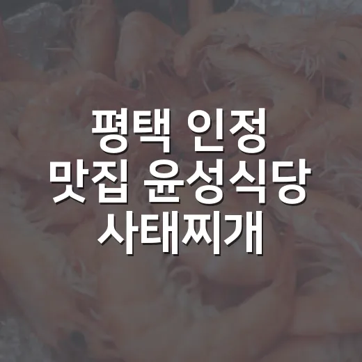 평택 인정 맛집 윤성식당 사태찌개