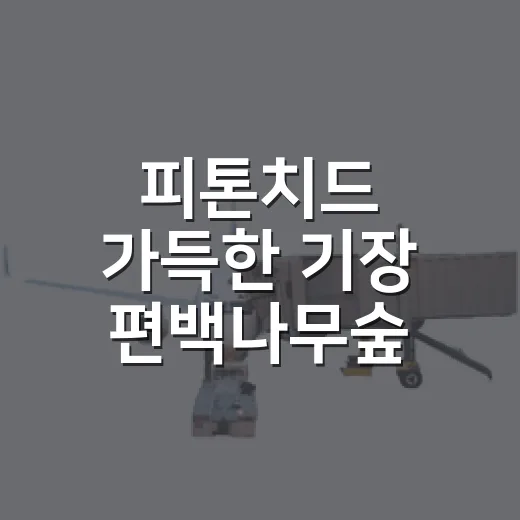 피톤치드 가득한 기장 편백나무숲 산책