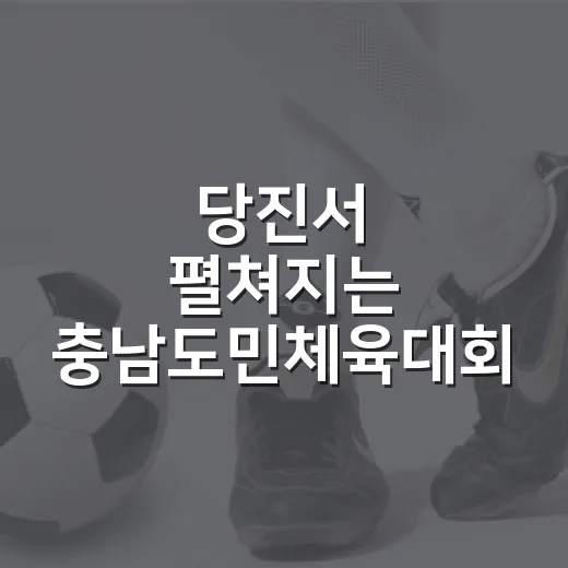당진서 펼쳐지는 충남도민체육대회 대축제