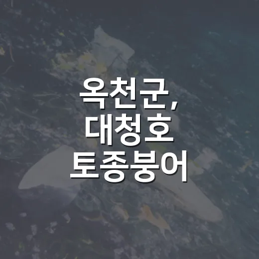 옥천군, 대청호 토종붕어 90만 마리 방류