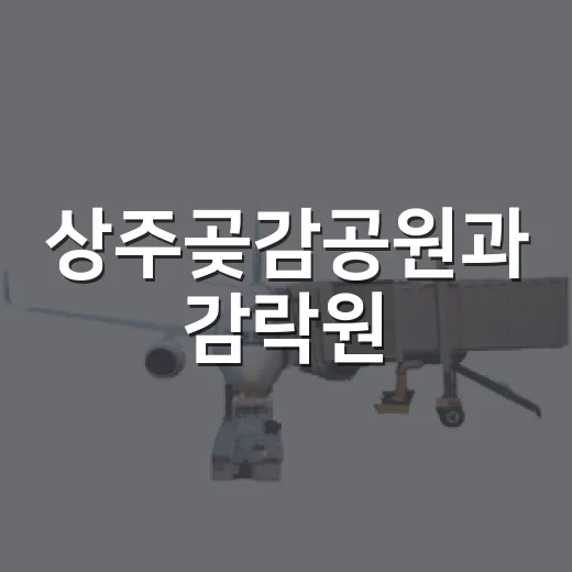 상주곶감공원과 감락원, 여름철 가족 나들이 명소