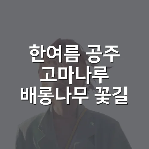 한여름 공주 고마나루 배롱나무 꽃길 산책