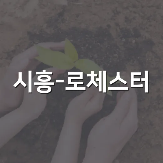 시흥-로체스터, 바이오·친환경 협력 강화