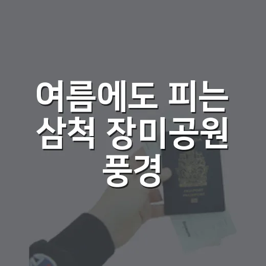 여름에도 피는 삼척 장미공원 풍경