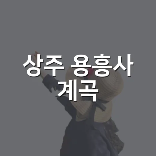 상주 용흥사 계곡, 여름 자연의 숨결