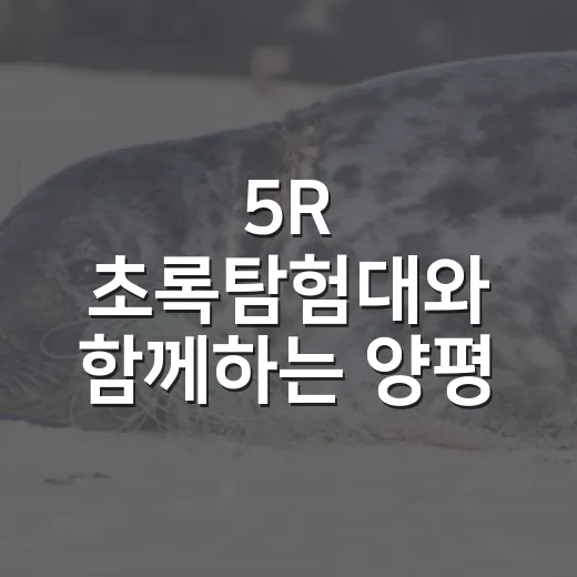 5R 초록탐험대와 함께하는 양평 자원순환의 날
