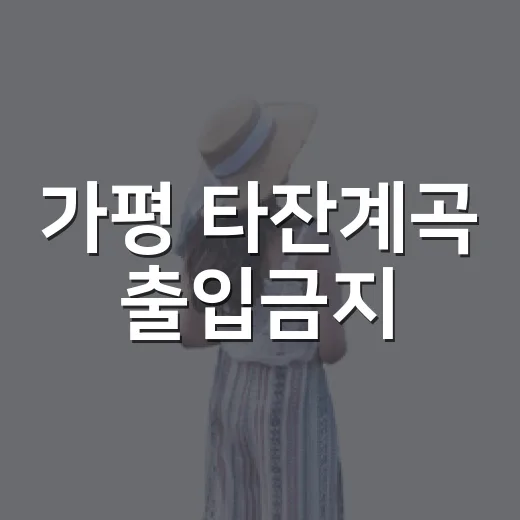 가평 타잔계곡 출입금지, 이국적 풍경 속 폐쇄 소식