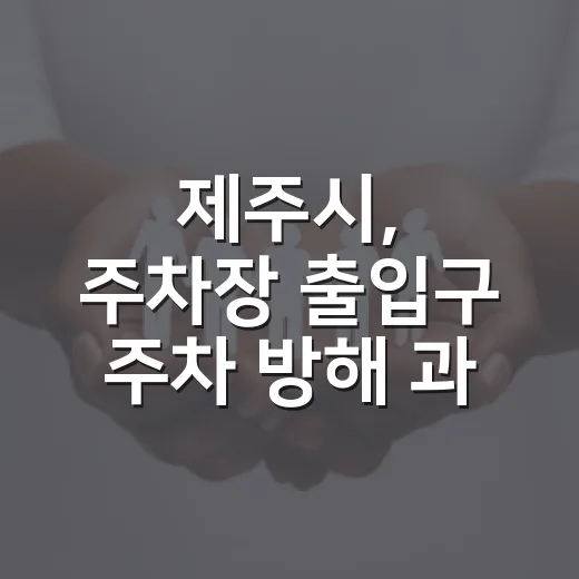 제주시, 주차장 출입구 주차 방해 과태료 시행
