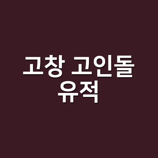 고창 고인돌 유적, 세계유산 가치 국제학술대회