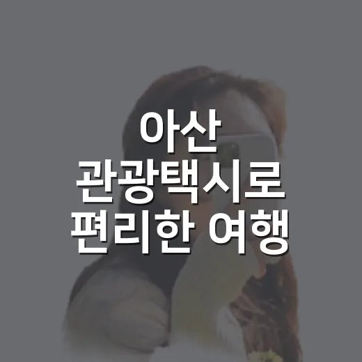 아산 관광택시로 편리한 여행 즐기기