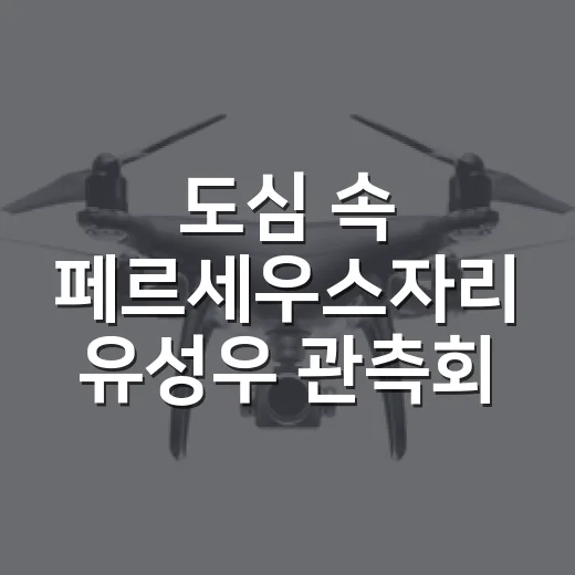 도심 속 페르세우스자리 유성우 관측회 현장