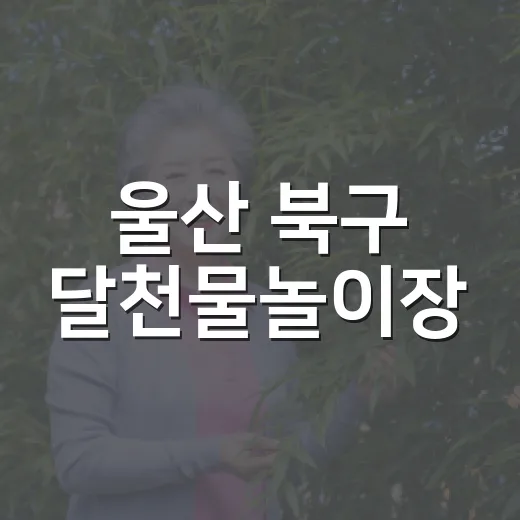 울산 북구 달천물놀이장, 무료 물놀이와 안전한 시설
