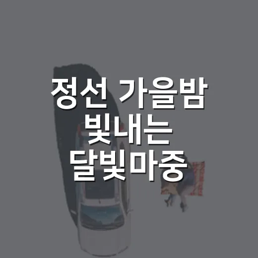 정선 가을밤 빛내는 달빛마중 야시장