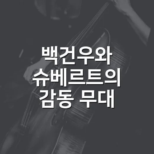 백건우와 슈베르트의 감동 무대