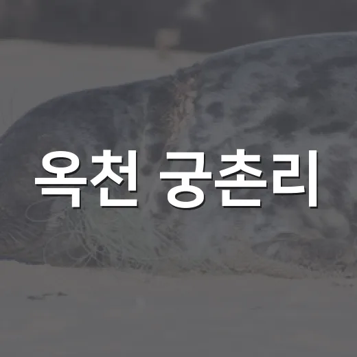 옥천 궁촌리, 소각산불 없는 녹색마을 선정