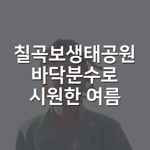 칠곡보생태공원 바닥분수로 시원한 여름 나들이