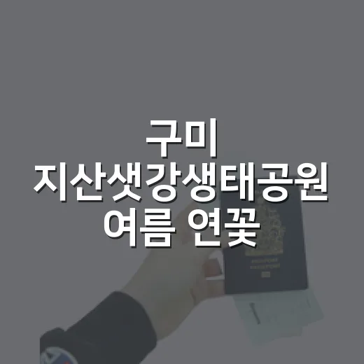 구미 지산샛강생태공원 여름 연꽃 명소