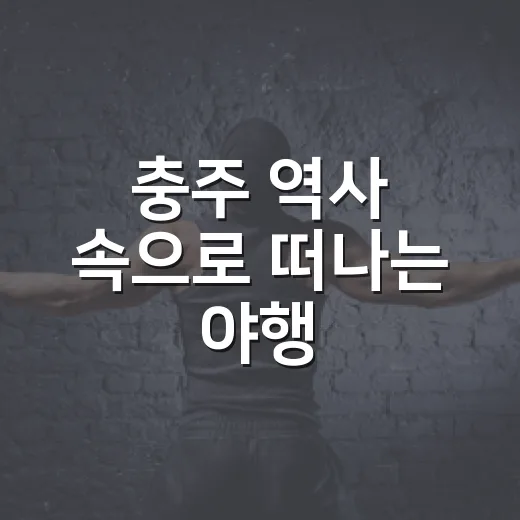 충주 역사 속으로 떠나는 야행