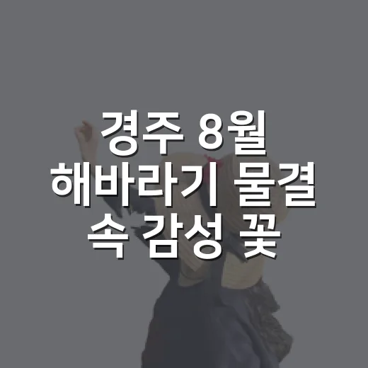 경주 8월 해바라기 물결 속 감성 꽃출사
