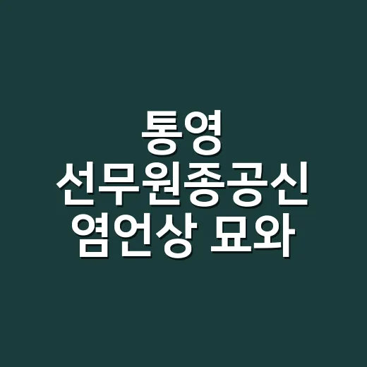 통영 선무원종공신 염언상 묘와 무장 염언상의 활약