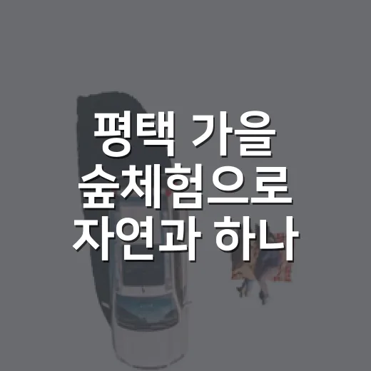 평택 가을 숲체험으로 자연과 하나 되다