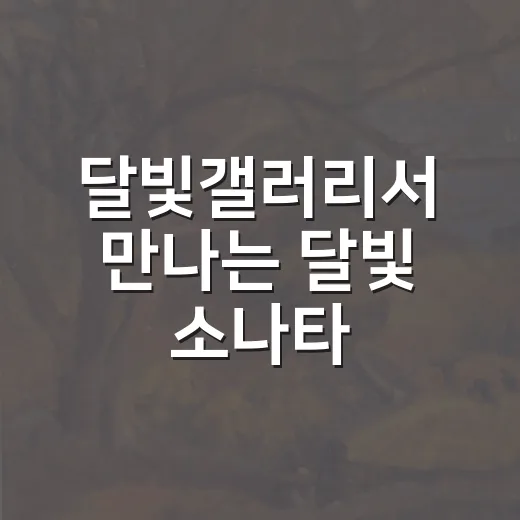 달빛갤러리서 만나는 달빛 소나타
