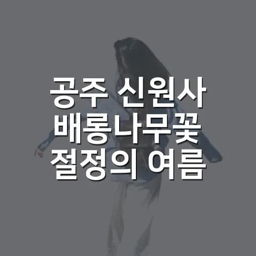 공주 신원사 배롱나무꽃 절정의 여름 풍경