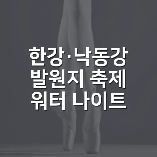 한강·낙동강 발원지 축제 워터 나이트 파티 현장