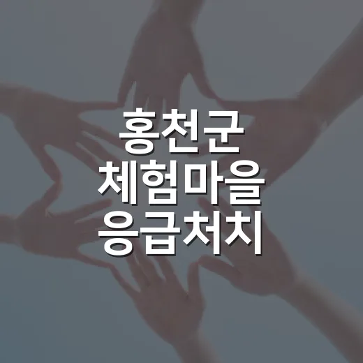 홍천군 체험마을 응급처치 전문인력 양성