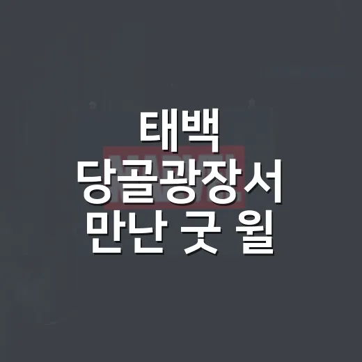 태백 당골광장서 만난 굿 윌 헌팅