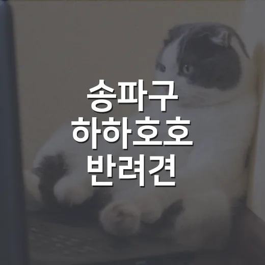송파구 하하호호 반려견 물놀이장 현장