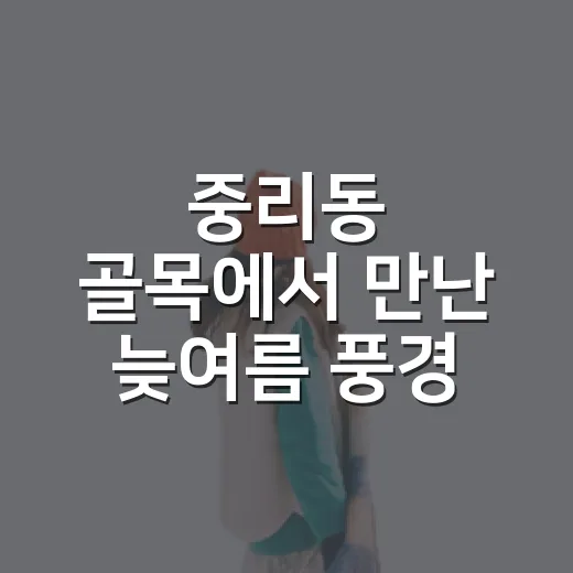 중리동 골목에서 만난 늦여름 풍경