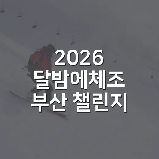 2026 달밤에체조…