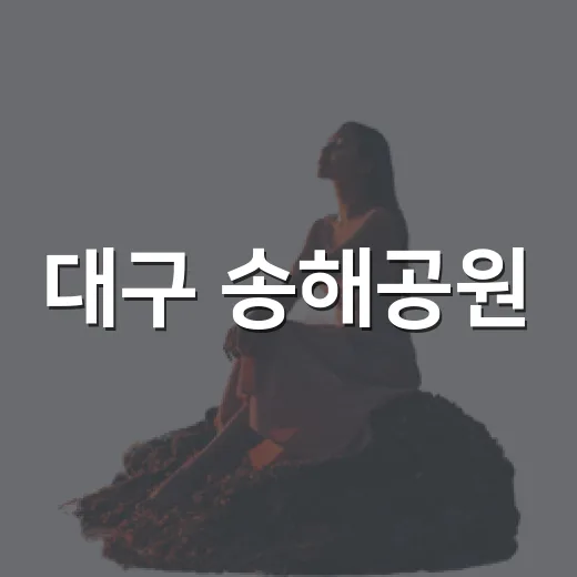 대구 송해공원, 가족과 연인 위한 야경 명소