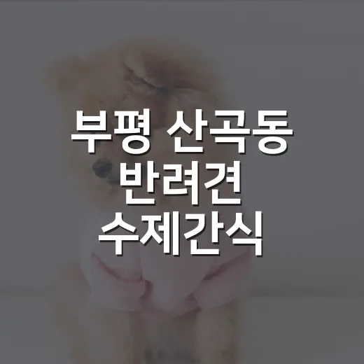 부평 산곡동 반려견…