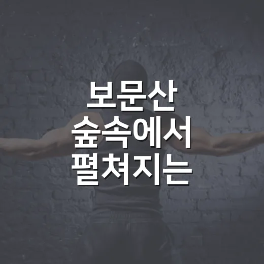 보문산 숲속에서 펼쳐지는 열린음악회