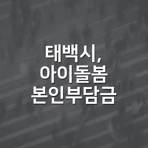태백시, 아이돌봄 본인부담금 대폭 지원