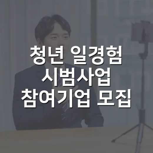 청년 일경험 시범사업 참여기업 모집