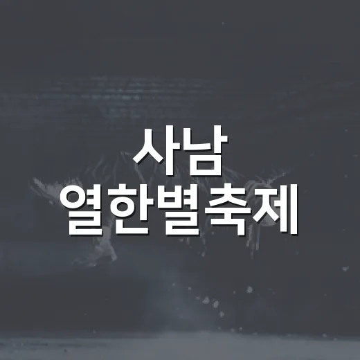 사남 열한별축제, 초전공원서 빛나는 축제의 밤