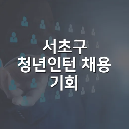 서초구 청년인턴 채…
