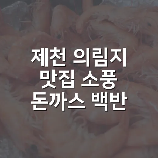 제천 의림지 맛집 소풍 돈까스 백반
