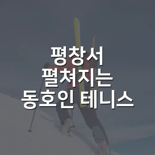 평창서 펼쳐지는 동호인 테니스 열전