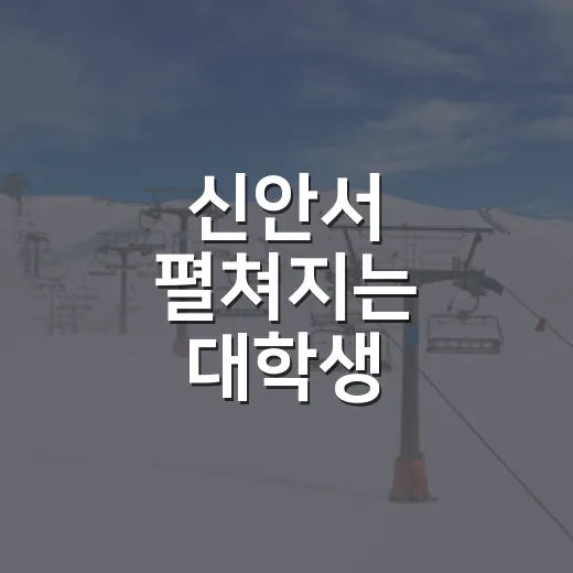 신안서 펼쳐지는 대…