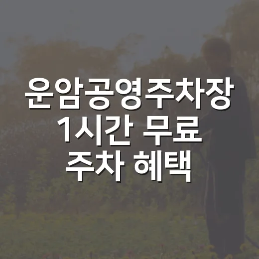 운암공영주차장 1시간 무료 주차 혜택