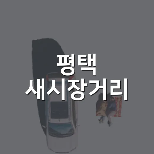 평택 새시장거리, …