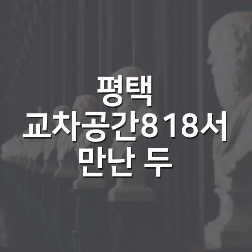 평택 교차공간818…