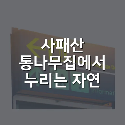 사패산 통나무집에서 누리는 자연 속 힐링